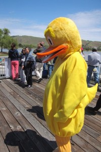 Ducks4Bucks1