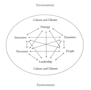 Elements of an Oganziational System