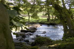 SteppingStones