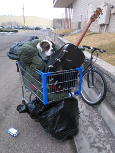 homeless cart